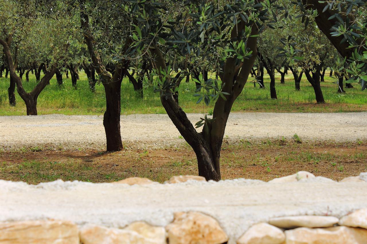 Terreamare Agriturismo Porto Cesareo Buitenkant foto